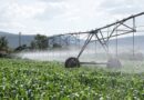 Nyagatare: Farmers call on the government for more support in irrigating their crops