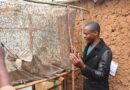 How maggot farming changed the life of a young man in Gicumbi