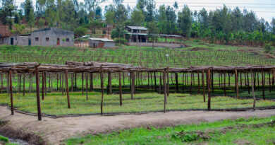 U Rwanda rwahawe  miliyoni 18$ zo kwagura umushinga wa Green Amayaga mu Ntara y’Amajyepfo