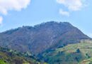 Mount Kabuye: From untamed highland to Rwanda’s emerging Eco-Tourism Gem (ETG)