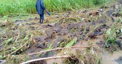 Burera: Ubukwe Bwasojwe no Gukubitwa n’INKUBA