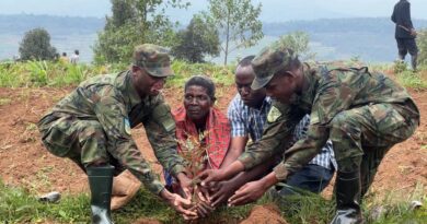 Gicumbi : Hagiye guterwa ibiti ibihumbi 500 by’imbuto, bizafasha kurwanya imirire mibi no kubungabunga ubutaka