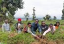 Gicumbi District to Plant 500,000 fruit trees to fight malnutrition and soil erosion