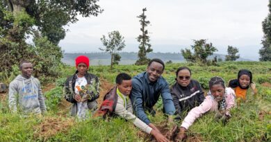 Gicumbi District to Plant 500,000 fruit trees to fight malnutrition and soil erosion
