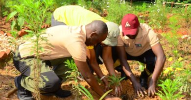 UNESCO-protected Biosphere Reserves become Hubs of economy and life