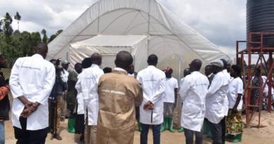 Greenhouse farming boosts Tomato production in Nyabihu District Greenhouse farming boosts Tomato production in Nyabihu District