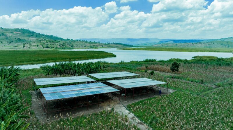 Kirehe: The sun that once caused crops to wither is now harnessed to boost agricultural production Kirehe: The sun that once caused crops to wither is now harnessed to boost agricultural production