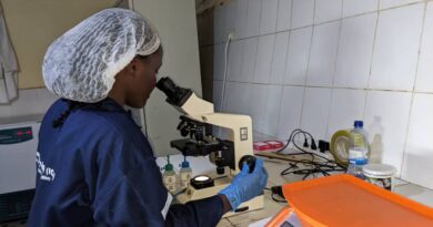 Gicumbi: First female university graduate applies for a pig farming internship at VAF Gicumbi: First female university graduate applies for a pig farming internship at VAF