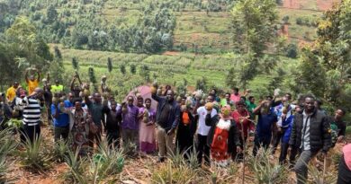 Gicumbi: Urubyiruko rwitabiriye ubuhinzi bw’inanasi zihanganira imihindagurikire y’ibihe