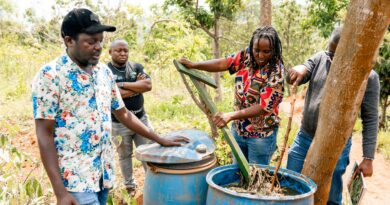 Integrating crop farming and livestock: A cornerstone of organic productivity