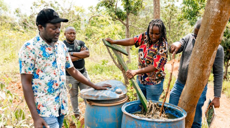 Integrating crop farming and livestock: A cornerstone of organic productivity