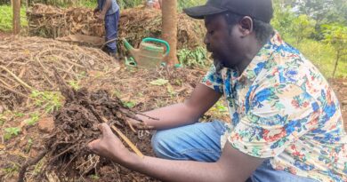 Biochar: A sustainable solution for climate-resilient agriculture