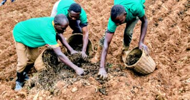 Burera: Planting season launched with a focus on increasing productivity and soil conservation