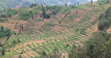 Ngororero: Environmental conservation and agriculture are transforming lives through ARCOS’ MULAKILA project