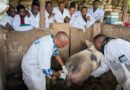 Gicumbi: Veterinary professionals urged to embrace training and technology to enhance professionalism