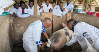 Gicumbi: Veterinary professionals urged to embrace training and technology to enhance professionalism Gicumbi: Veterinary professionals urged to embrace training and technology to enhance professionalism