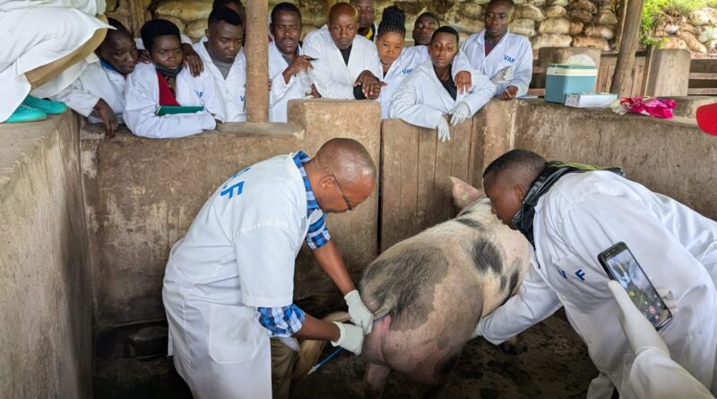 Gicumbi: Veterinary professionals urged to embrace training and technology to enhance professionalism Gicumbi: Veterinary professionals urged to embrace training and technology to enhance professionalism