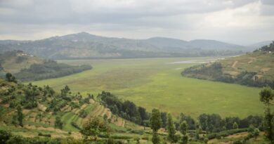 Gicumbi’s Hidden gem: Miyove’s river, forests and birdlife poised for tourism growth