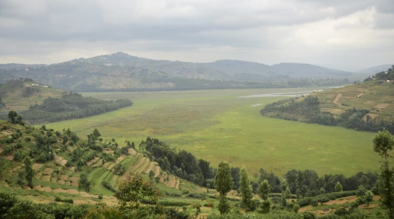 Gicumbi’s Hidden gem: Miyove’s river, forests and birdlife poised for tourism growth