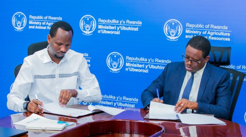 AI technology set to transform meat inspection and animal disease detection in Rwanda