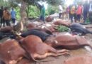 Kirehe:Umuturage yapfushije amatungo 33 ku munsi umwe(Amafoto)