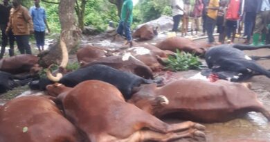 Kirehe:Umuturage yapfushije amatungo 33 ku munsi umwe(Amafoto)