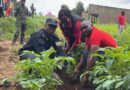 Gicumbi: RPF members mobilize to combat malnutrition and stunting