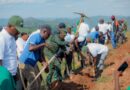 First phase of the Green Amayaga project concluded, leaving a lasting impact across the Mayaga region