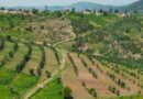 Green Gicumbi na Green Amayaga: Imishinga Yabaye Umusingi w’Ubudahangarwa bw’u Rwanda mu Guhangana n’Imihindagurikire y’Ikirere