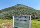 Green Gicumbi and Green Amayaga: Flagship initiatives strengthening Rwanda’s climate resilience Green Gicumbi and Green Amayaga: Flagship initiatives strengthening Rwanda’s climate resilience