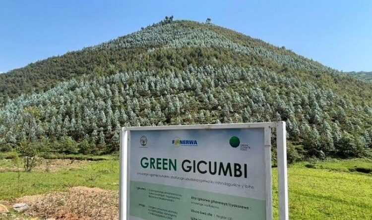 Green Gicumbi and Green Amayaga: Flagship initiatives strengthening Rwanda’s climate resilience Green Gicumbi and Green Amayaga: Flagship initiatives strengthening Rwanda’s climate resilience