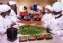Rwanda Earns Over RWF 11.8 Billion from Agricultural Exports in Just Five Days Rwanda Earns Over RWF 11.8 Billion from Agricultural Exports in Just Five Days