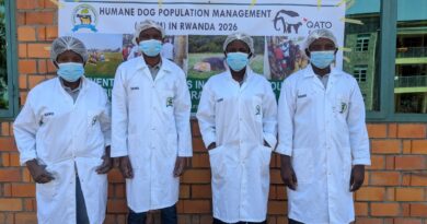 Humane Dog Population Management aims to curb stray dog populations and protect communities and wildlife in Rwanda