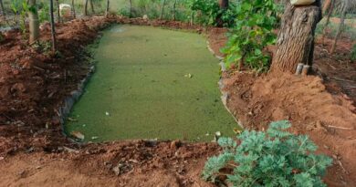 AFSA calls for redirecting agricultural finance towards Agroecology in Africa