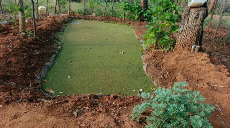 AFSA calls for redirecting agricultural finance towards Agroecology in Africa