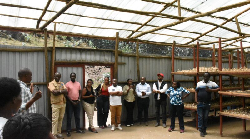 Kungahara project poised to leave farmers with greater capacity to boost productivity and curb post-harvest losses