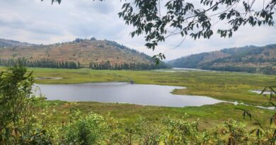 Gicumbi: Governor Mugabowagahunde Says Study Underway to Explore Inclusion of Rugezi Wetland in Rwanda’s National Parks