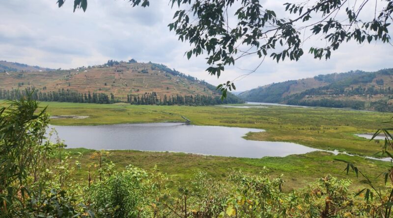 Gicumbi: Governor Mugabowagahunde Says Study Underway to Explore Inclusion of Rugezi Wetland in Rwanda’s National Parks